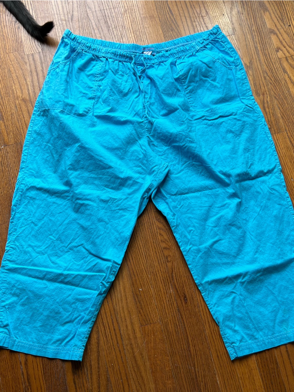 fresh produce Womens Teal Capri Pants size 2XL
